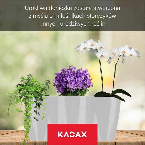 KADAX Urtepotte, Urtepotte, Plastik Urtepotte, Orkidé, 35 cm, Grå