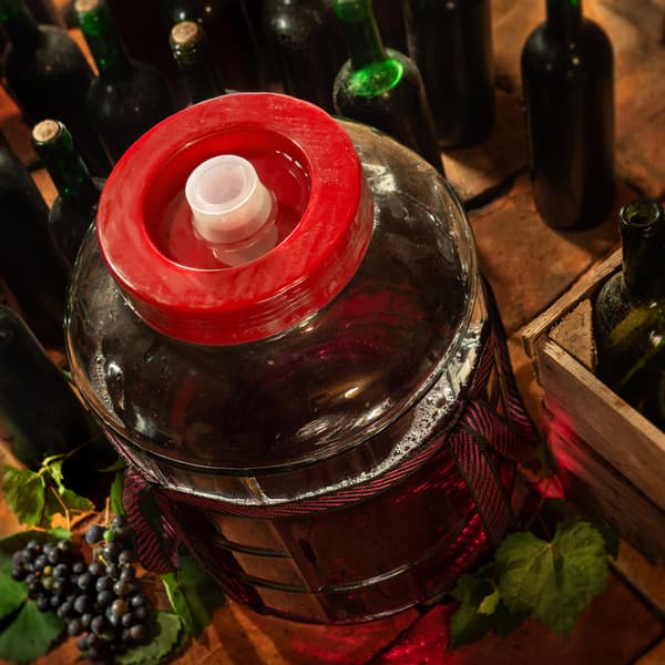 KADAX glaskrukke til konservering af vin, agurker og kål, 30 l, dunk