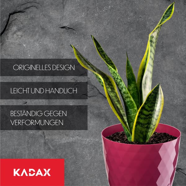 KADAX Plastik Urtepotte med Stativ, Urtepottedæksel, 30cm, Pink, Kadax
