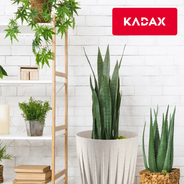 KADAX Urtepotte med Indsats 14,5x17cm Rund Plastindsats