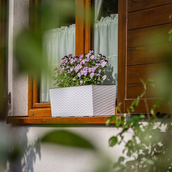 KADAX Urtepotte Balkonkasse med Indsats Blomsterstativ til Balustrade 19x56cm