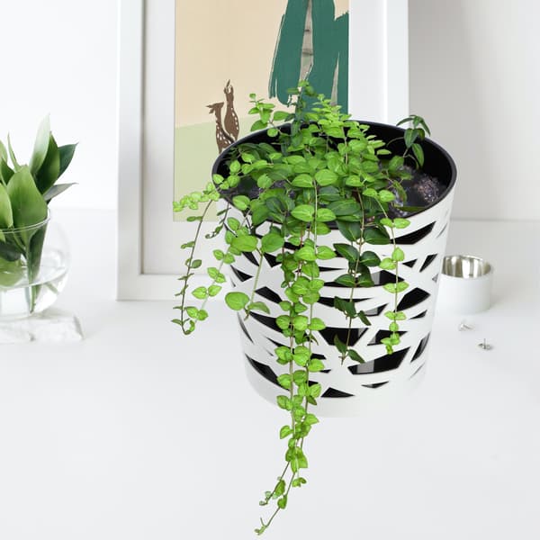 KADAX Urtepotte Plastik Lågindsats til Blomster og Planter 15 cm Sort