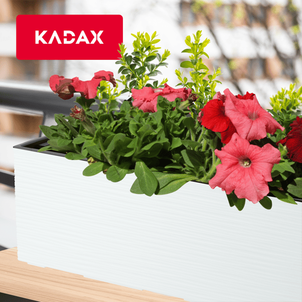 KADAX Urtepotte Balkonkasse med Indsats Blomsterstativ til Balustrade 19x56cm