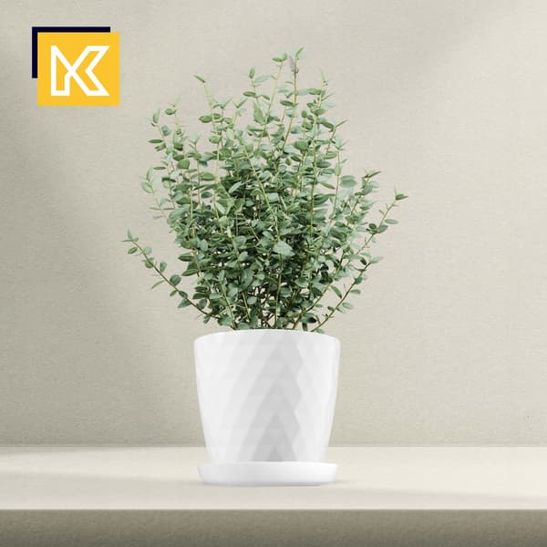 KADAX Blomkruka, Planter, Lock, 18 cm, Blomställning, Vit Plast, 3 st.
