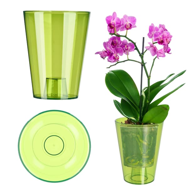 KADAX Blomkruksskydd för orkidéer, plastväxter, 12 cm, grön, Kadax