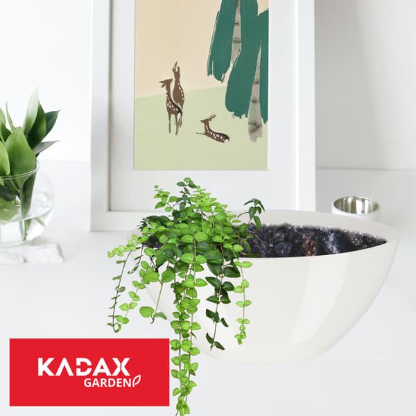 KADAX Urtepotte 21 cm Oval Urtepotte Plastik Hvid