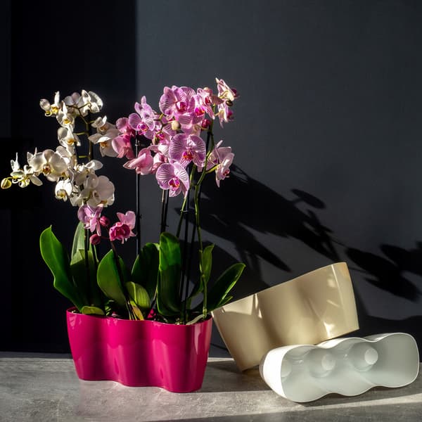 KADAX Urtepotte, Urtepotte, Skål, Blomsterfod, Plast, 35 cm, Creme