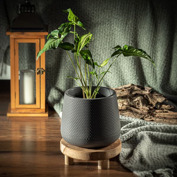 KADAX Blomkruka med Blomställ 13 cm Korklock Blomställ Grå