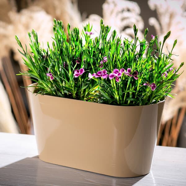 KADAX Urtepotte, Urtepotte, Plastlåg, 27 cm, Blomsterfod, Balkon, Beige