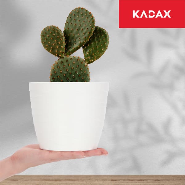 KADAX Urtepotte Plastikpotte til Blomster og Planter Hvid Rund 15 cm