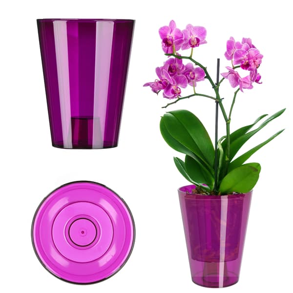 KADAX Blomkruka Orkidé Plastblommor 12 cm Lila
