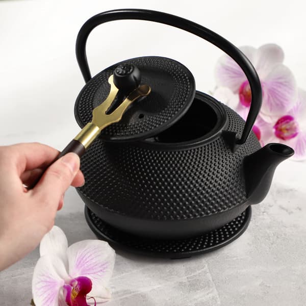 KADAX urtete-infuser støbejerns tekande 850ml kande + 2 kopper sort