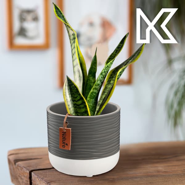 KADAX Keramik Urtepotte, Urtepotte, Rund, 12 cm, Grå