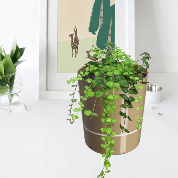 KADAX Urtepottedæksel 25 cm Todelt Plantepotte Plast