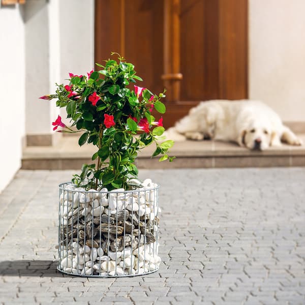 KADAX Gabion Potte Gabion Overdækning Stål Til Blomster Sten Have Udendørs