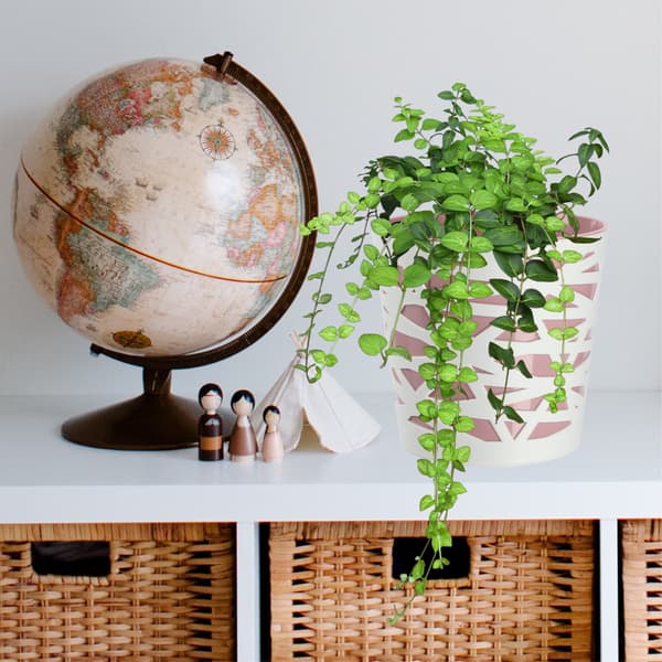 KADAX Urtepotte Plastik Lågindsats til Blomster og Planter 15 cm Pink