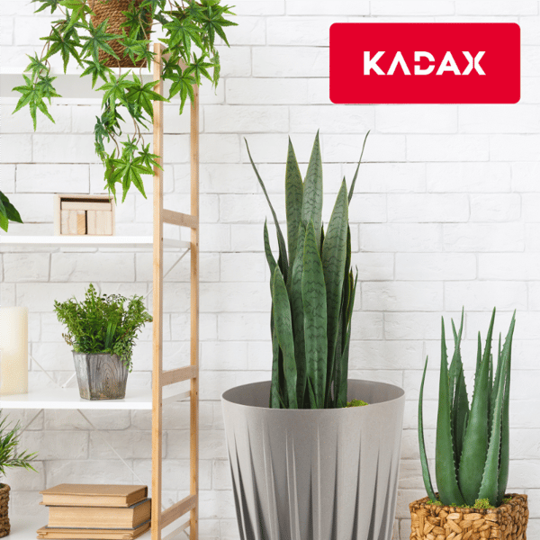 KADAX Urtepotte med Indsats 30x36cm Rund Plastlåg Indsats