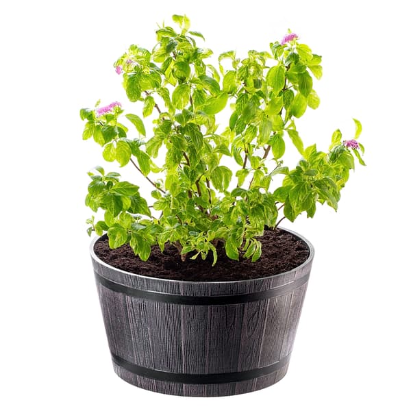 KADAX Urtepotte Stor Havepotte til Terrasse Blomster Dæk Urtepotte Rund 40cm