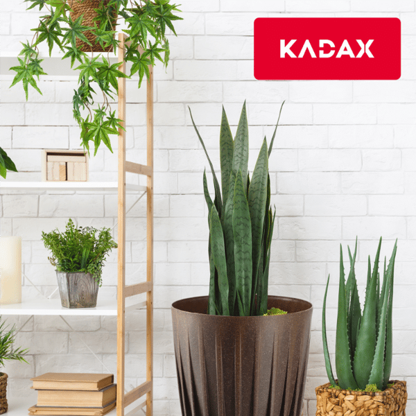 KADAX Urtepotte med Indsats 30x36cm Rund Plastlåg Indsats