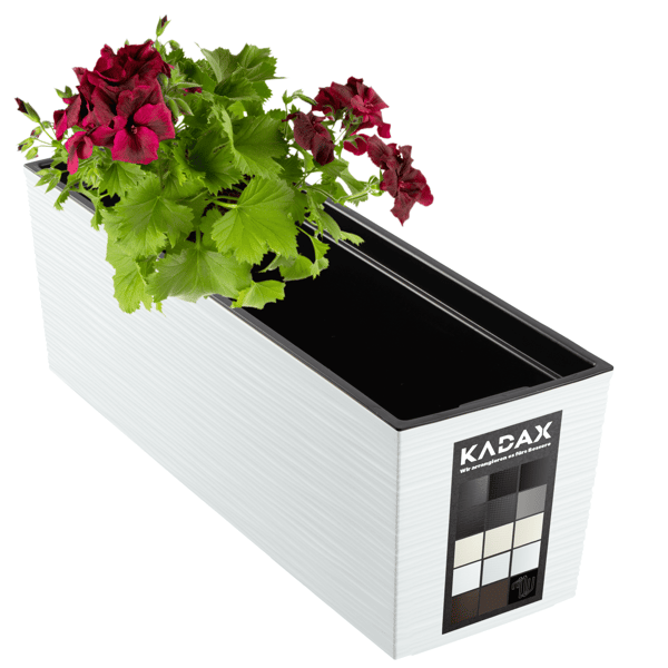 KADAX Urtepotte Balkonkasse med Indsats Blomsterstativ til Balustrade 19x56cm
