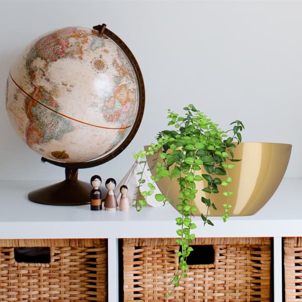 KADAX Urtepotte 38cm Oval Urtepotte Plastik Guld