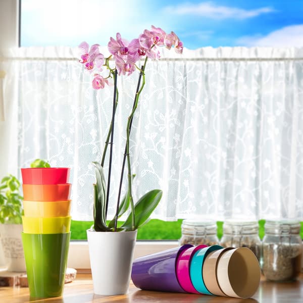 KADAX Urtepotte Orkidé Plastik Urtepotte Beige Massiv 13cm