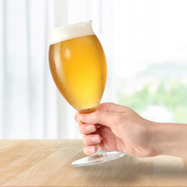 KADAX Ölmugg Ölglas Ölmuggar Glas Hög bägare 410 ml 4 st