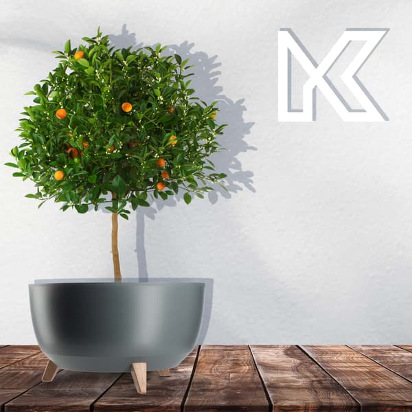 KADAX Urtepotte 47 cm Låg + Indsatsben Antracit
