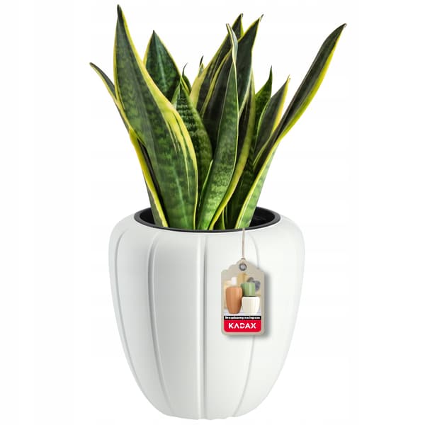 KADAX Blomkruka 40cm Lock med Insats Blomkruka Plast Vit