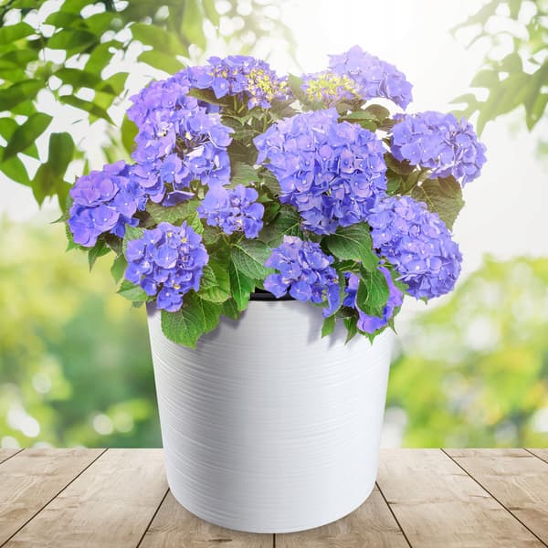 KADAX Blomkruka Vit Plastkruka För Blommor Växter 30cm