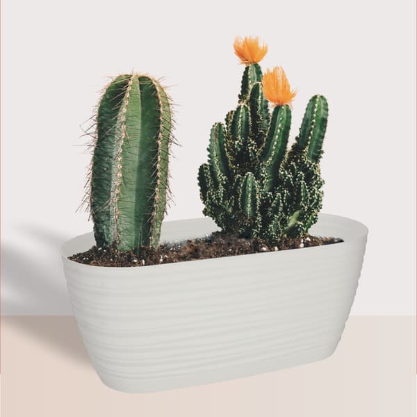 KADAX Urtepotte 27cm Oval Urtepotte Plastik Hvid