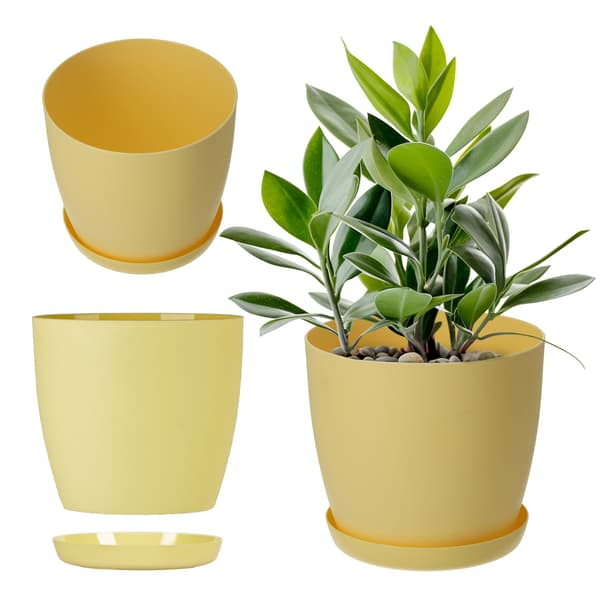 KADAX Urtepotte med Underkop Plastikpotte 25 cm Låg Blomster Gul Mat