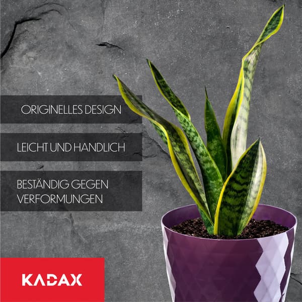 KADAX Plastik Urtepotte med Stativ, Urtepottedæksel, 12cm, Lilla, Kadax