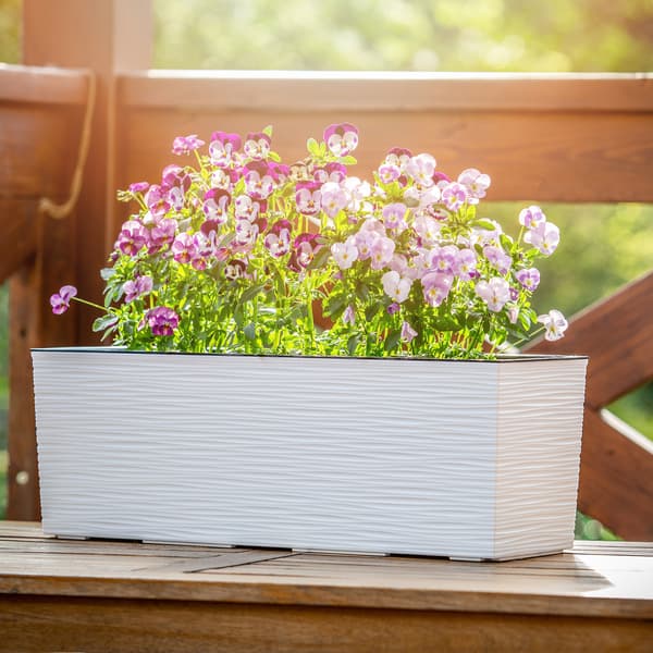 KADAX Urtepotte Balkonkasse med Indsats Blomsterstativ til Balustrade 19x56cm