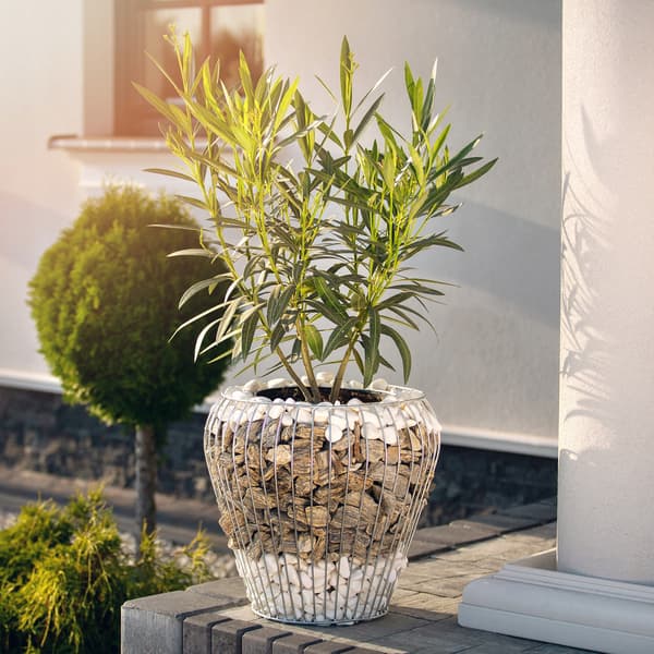KADAX Gabionkruka Gabionskydd Stålkorg 42 cm Gabiontråd Galvaniserad