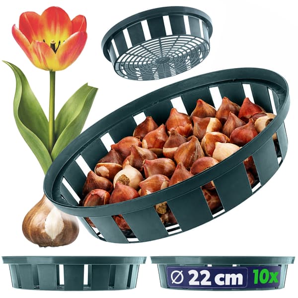 KADAX Korg för plantering av tulpaner och blomsterlökar, 18 cm, 10 st