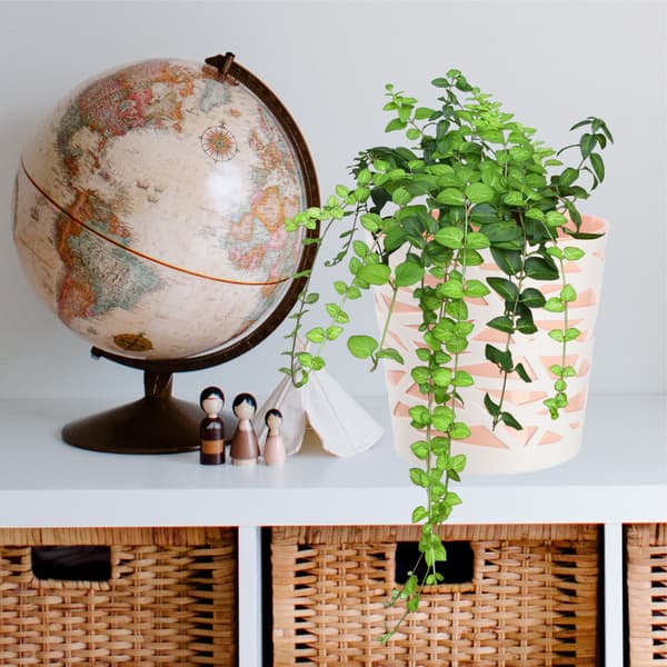 KADAX Urtepotte Plastikindsats til Blomster og Planter 19 cm Beige