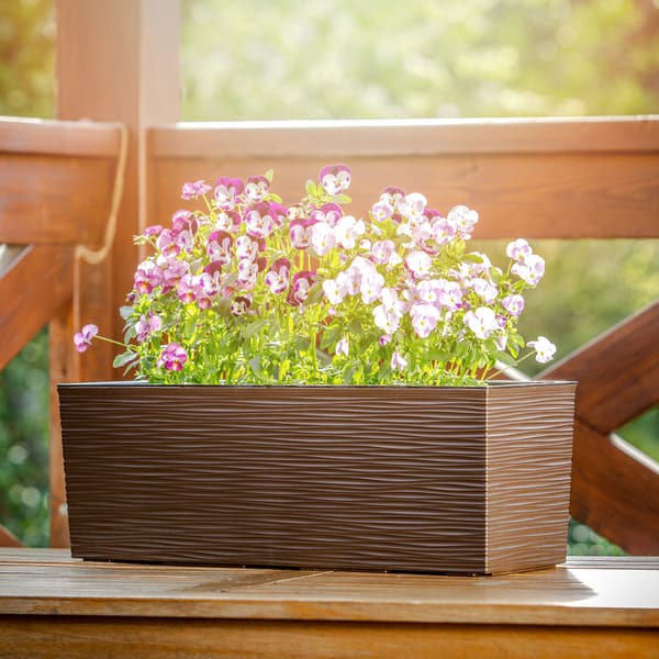 KADAX Urtepotte Balkonkasse med Indsats Blomsterstativ til Balustrade 19x56cm