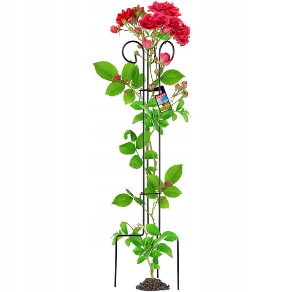 KADAX Stöd för Rosenblommor Växter Metall Blomklämma 90cm Stark