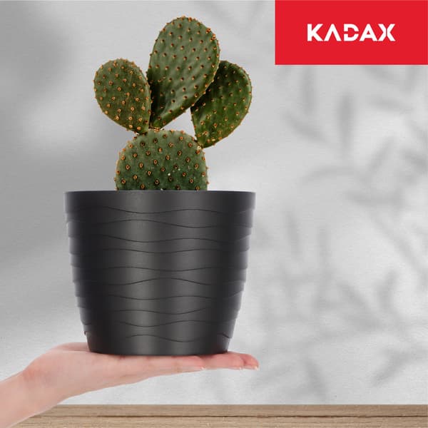 KADAX Urtepotte Plastikpotte til Blomster og Planter Sort Rund 15 cm