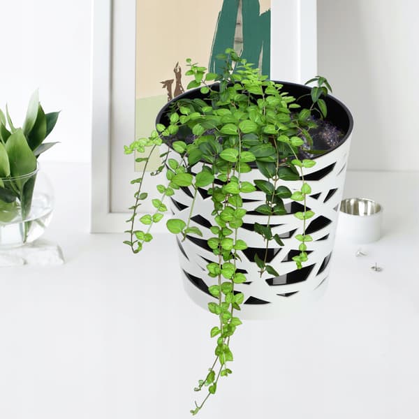 KADAX Urtepotte Plastik Lågindsats til Blomster og Planter 19 cm Sort