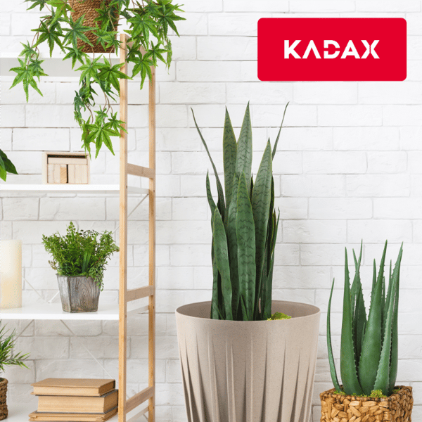 KADAX Urtepotte med Indsats 14,5x17cm Rund Plastindsats