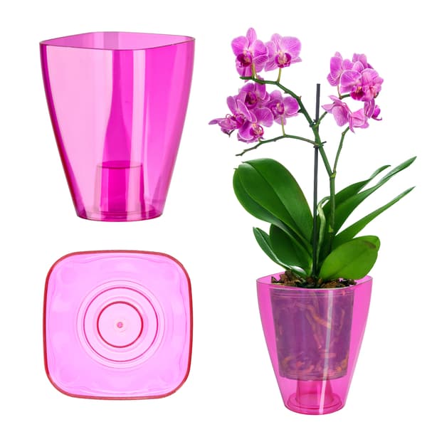 KADAX Blomkruka Orkidé Planter Plast Blomkruka Rosa Enfärgad 13cm