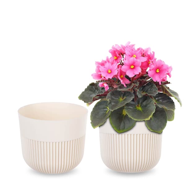 KADAX Blomkruka, Blomkruksskydd, 13 cm, Plast, Rund, Räfflad, Växt