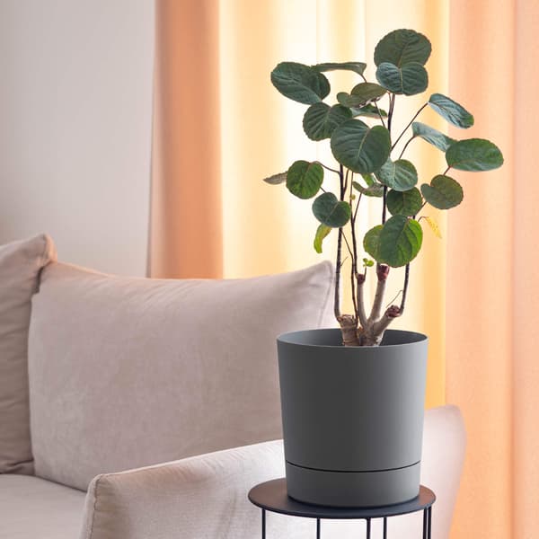 KADAX Urtepotte Urtepotte med Stander Plastik Rund 14,5 cm