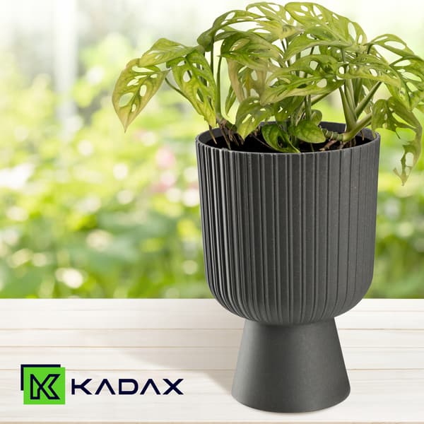 KADAX Urtepotte, Urtepotte, Græsplæne, Plastlåg, 14 cm, Blomsterfod, Grå