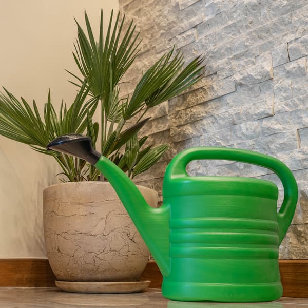 KADAX vandkande 12L til vanding af blomster i haven, plastikvander