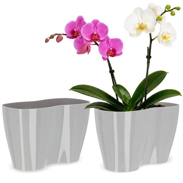 KADAX Blomkruka, Blomkruka, Plastblomkruka, Orkidé, 23 cm, Grå