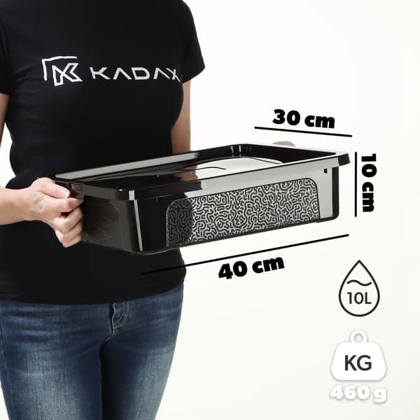 KADAX 10L plastikbeholder med låg, sort, aflåselig kasseorganisator