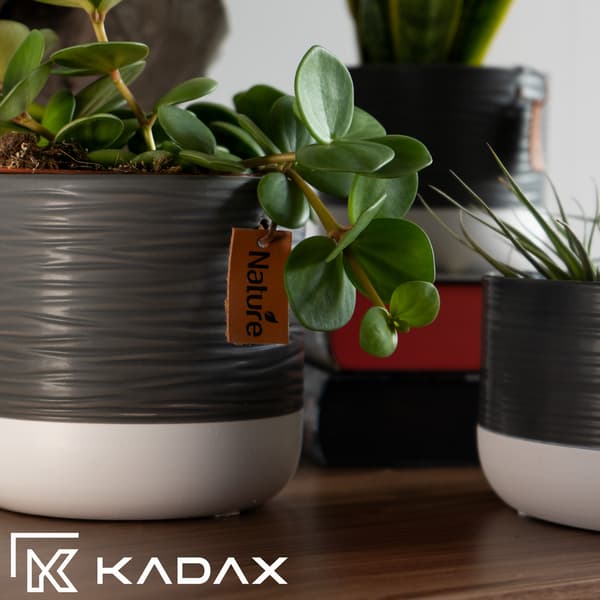 KADAX Keramik Urtepotte, Urtepotte, Rund, 12 cm, Grå